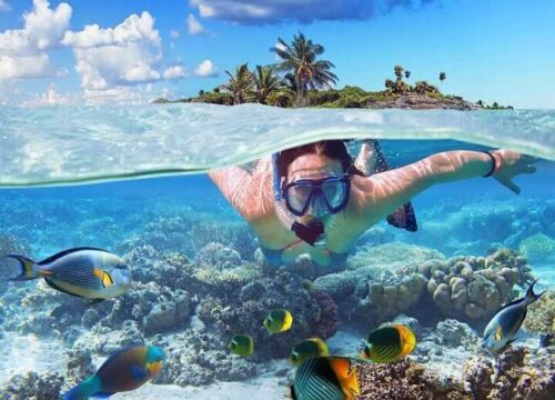 Underwater Tours